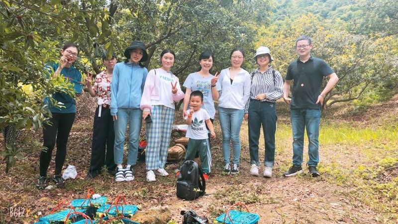 一場(chǎng)與楊梅的邂逅之旅